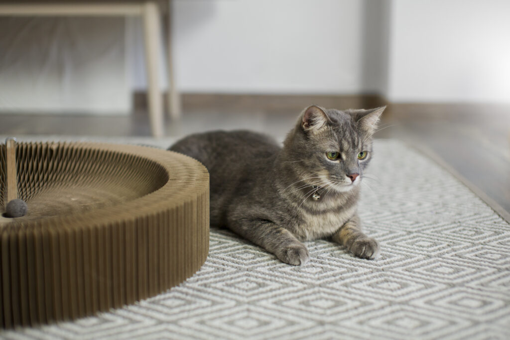 cat cooling mat