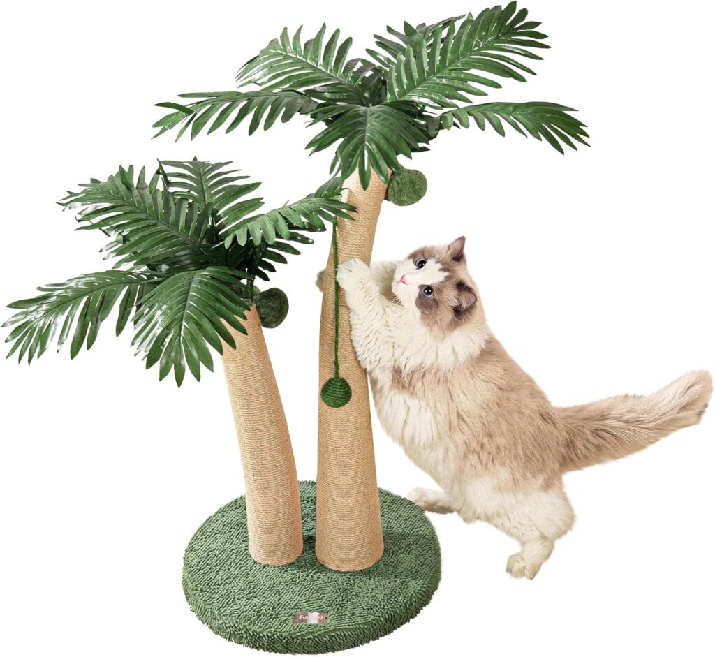 cat scratching tree