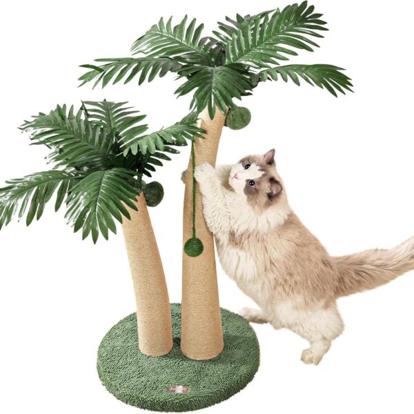 cat scratching tree