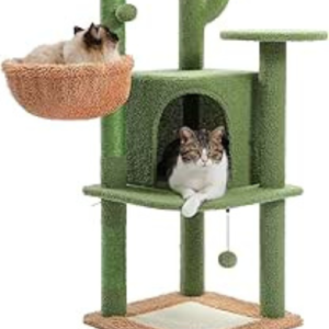 The friendliest cat scratcher on Amazon