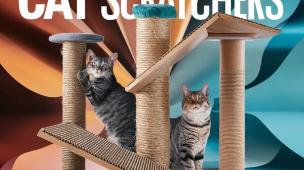 cat scratching posts