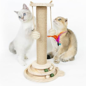 The most Valuable cat scratcher on Amazon