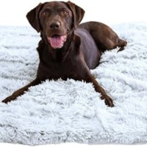 Best Friends by Sheri Calming Shag Dog Blanket